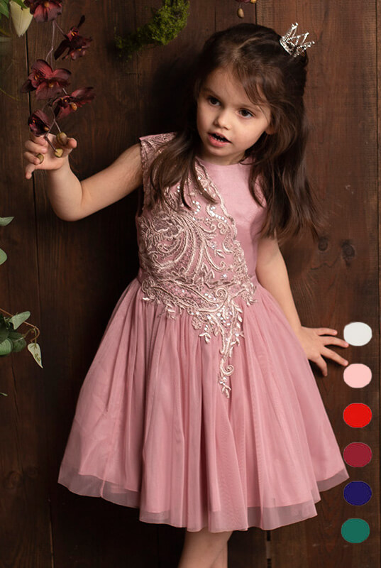 Tiulowa sukienka z koronką dla dziewczynki model Lidia - kolory 11